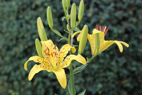 In the era of software-defined cars, whe...